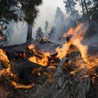 Incendi e tragedie naturali: va cambiata l'organizzazione dei soccorsi